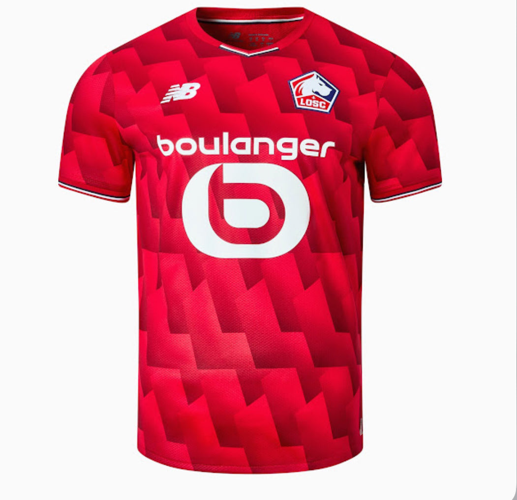 25/26 Lille Home